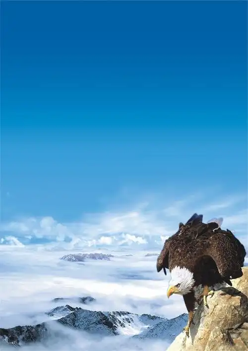 崂山黑啤怎么样